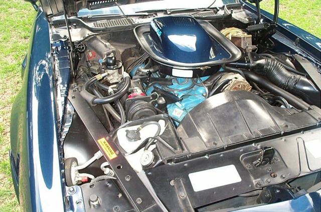 1974 Pontiac Trans Am - photo 9