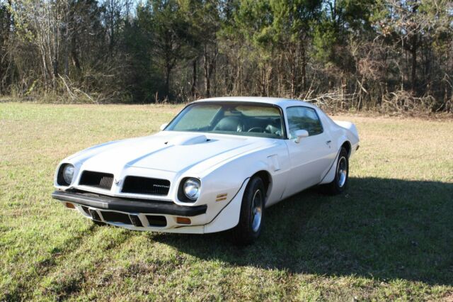 1974 Pontiac Trans Am - photo 2