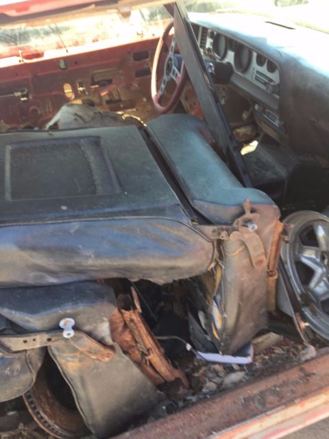 1974 Pontiac Trans Am - photo 10