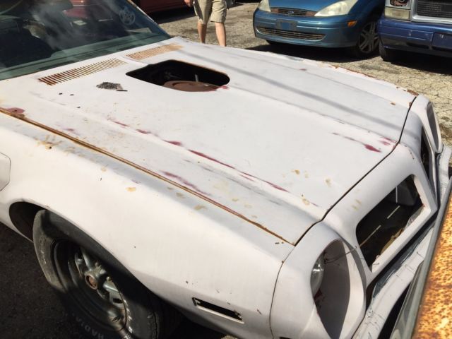 1974 Pontiac Trans Am - photo 8