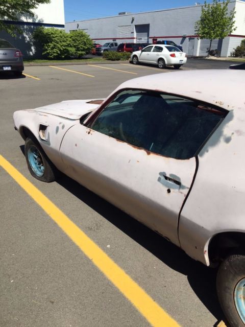 1974 Pontiac Trans Am - photo 9