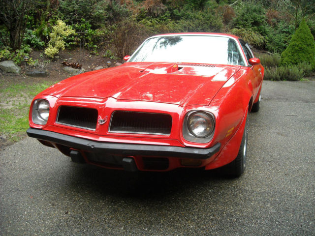 1974 Pontiac Trans Am - photo 2