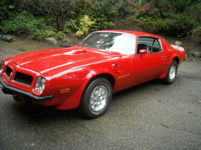 1974 Pontiac Trans Am - photo 3