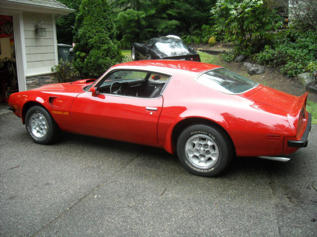 1974 Pontiac Trans Am - photo 4