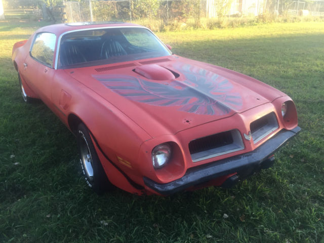 1974 Pontiac Trans Am Deluxe - photo 11