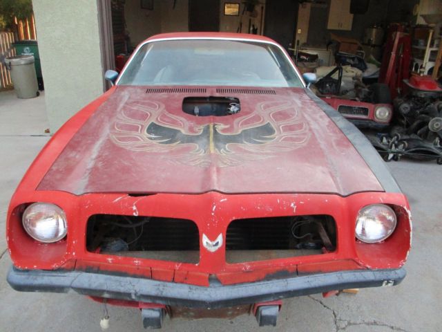 1974 Pontiac Firebird TRANS AM - photo 7
