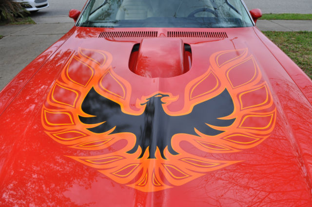 1974 Pontiac Trans Am Trans Am - photo 9