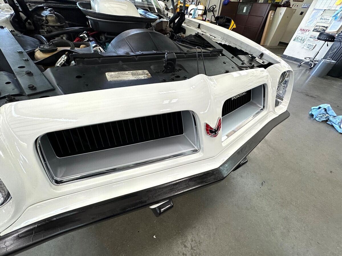 1974 Pontiac Trans Am Coupe - photo 10