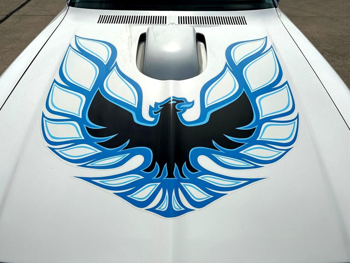 1974 Pontiac Trans Am Coupe - photo 5