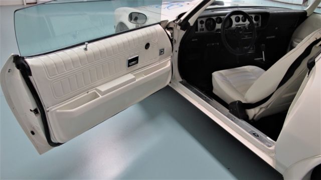 1974 Pontiac Trans Am - photo 13