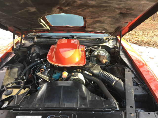 1974 Pontiac Trans Am TRANS AM - photo 10