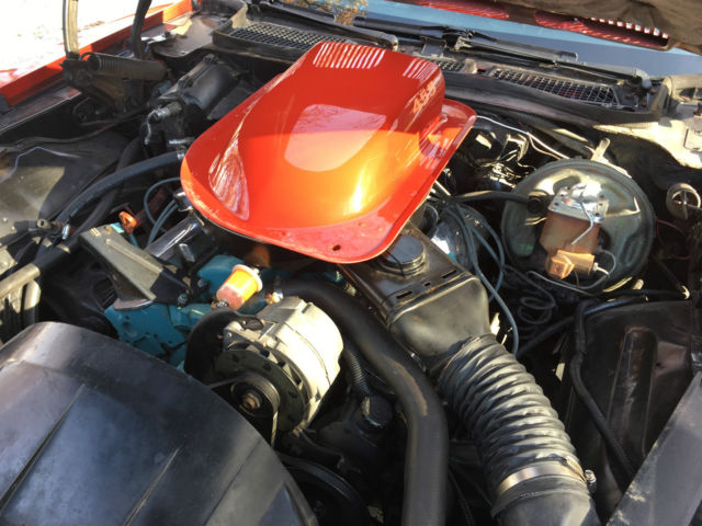 1974 Pontiac Trans Am TRANS AM - photo 11