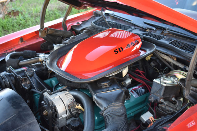 1974 Pontiac Trans Am Super Duty - photo 11