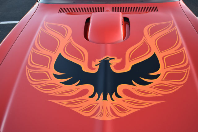 1974 Pontiac Trans Am Super Duty - photo 2