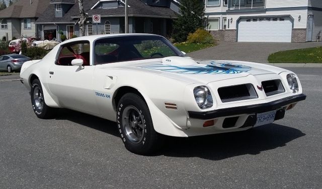 1974 Pontiac Trans Am Sports Coupe. Matching #'s PHS and Canadian Documentation! 1974 Pontiac Trans Am