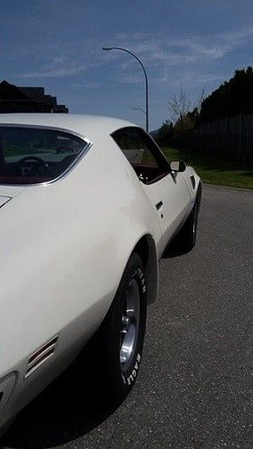 1974 Pontiac Trans Am - photo 10