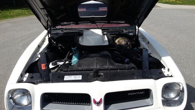 1974 Pontiac Trans Am - photo 7