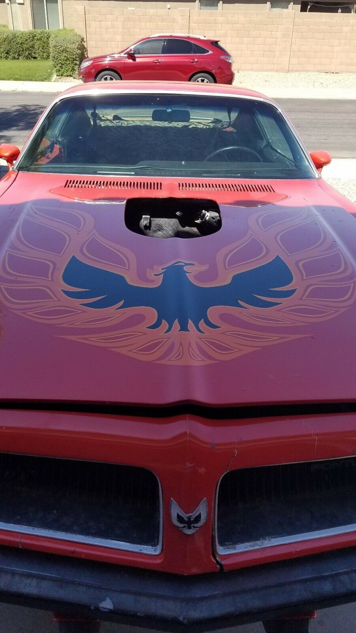 1974 Pontiac Trans Am