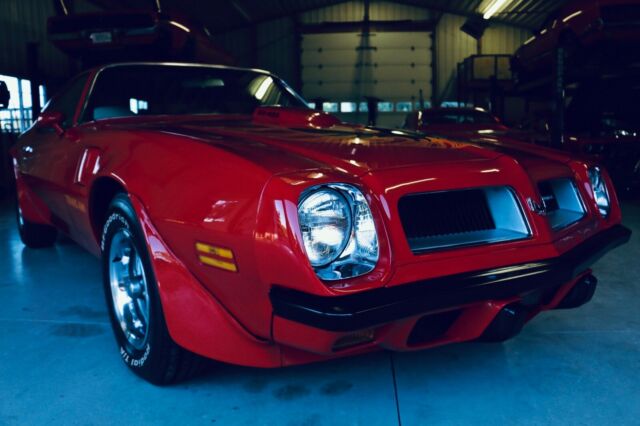 1974 Pontiac Trans Am SUPER DUTY - photo 9