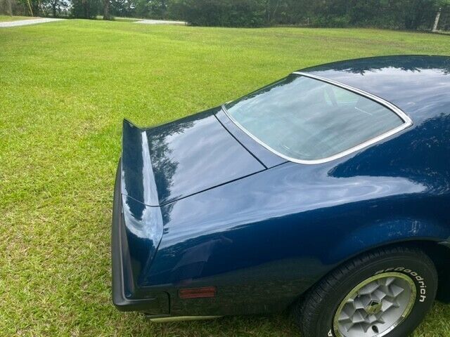 1974 Pontiac Trans Am - photo 6