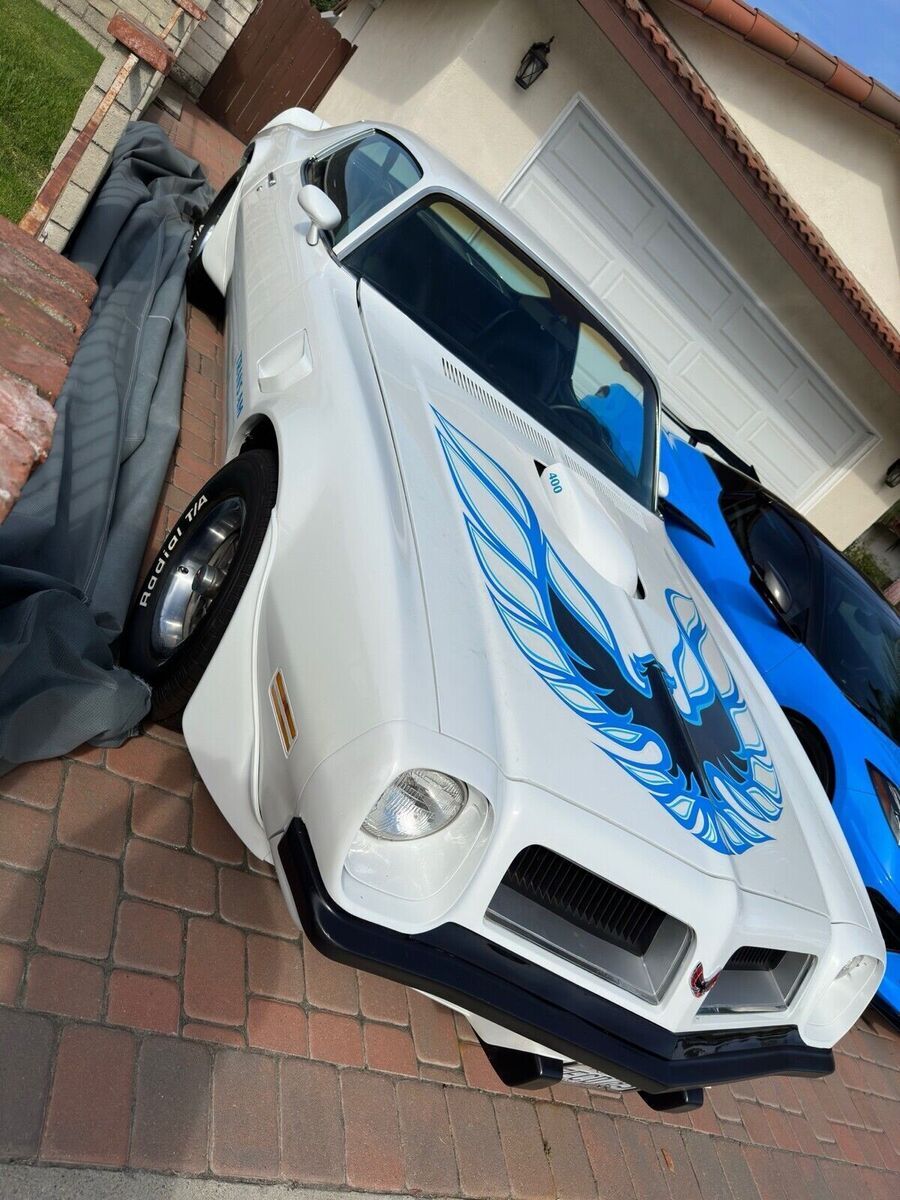 1974 Pontiac Trans Am - photo 5