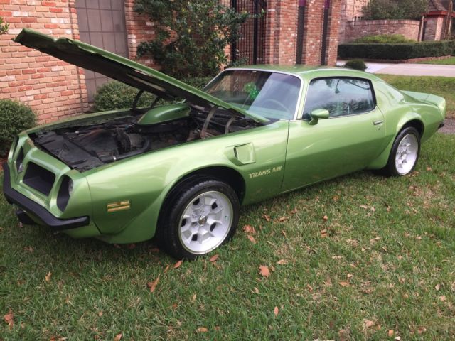 1974 Pontiac Trans Am TRANS AM (CLONE) - photo 6