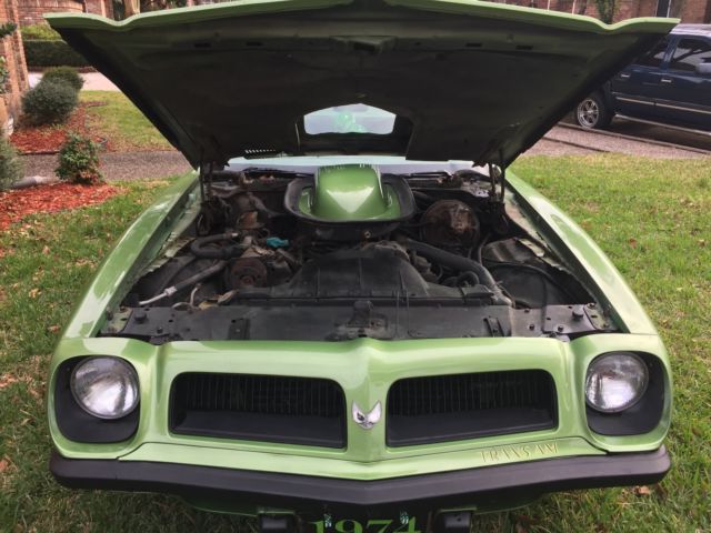 1974 Pontiac Trans Am TRANS AM (CLONE) - photo 8