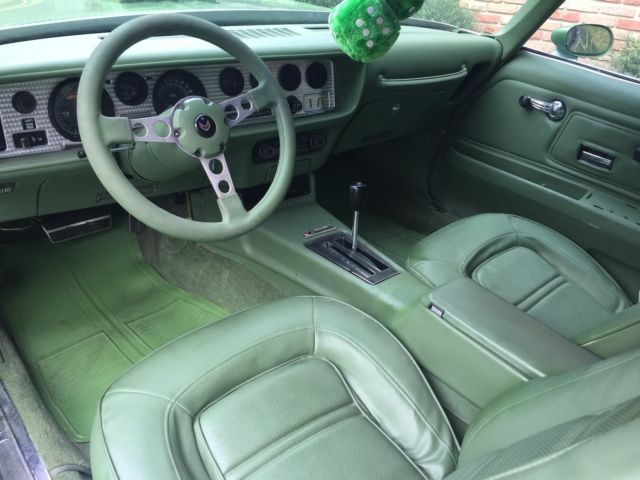 1974 Pontiac Trans Am TRANS AM (CLONE) - photo 9