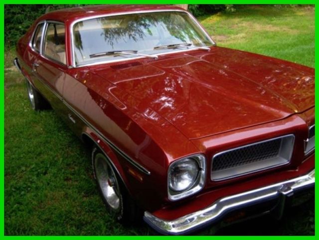 1974 Pontiac Other - photo 2