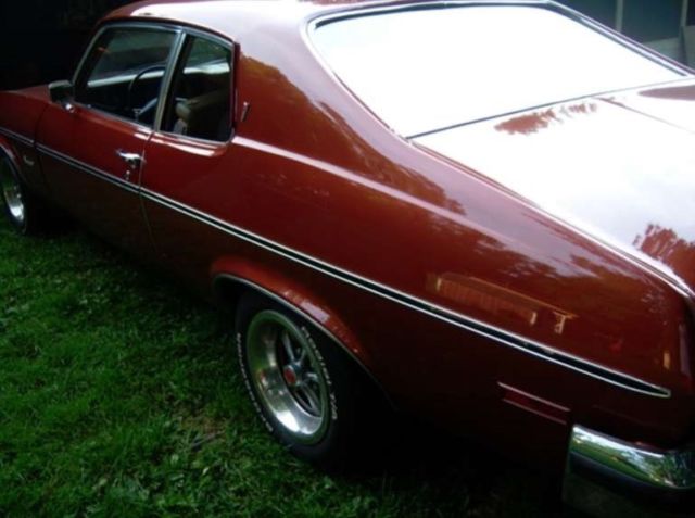 1974 Pontiac Other - photo 4