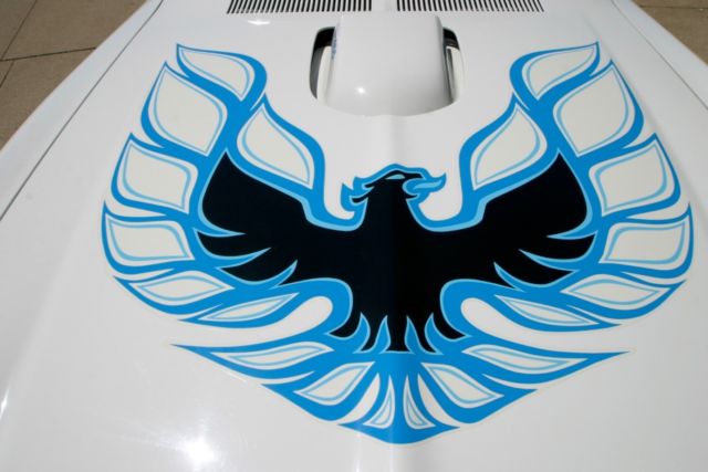 1974 Pontiac Trans Am - photo 13