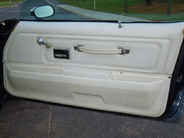 1974 Pontiac Trans Am - photo 13