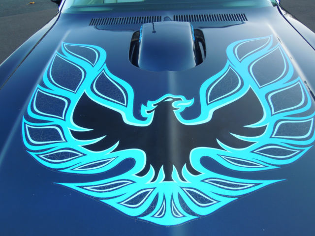 1974 Pontiac Trans Am - photo 7