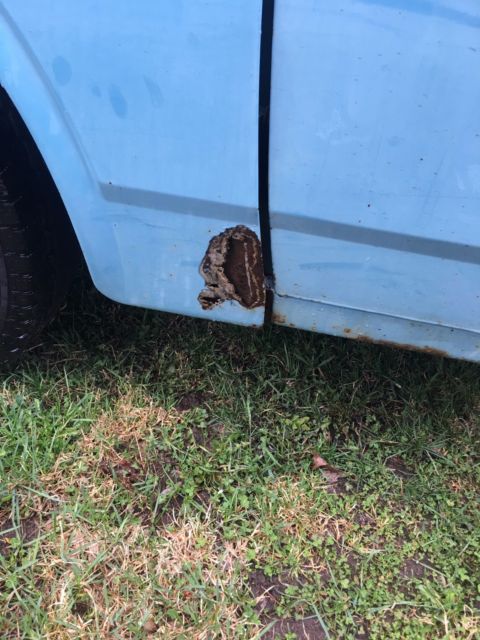 1974 Toyota Other base - photo 5
