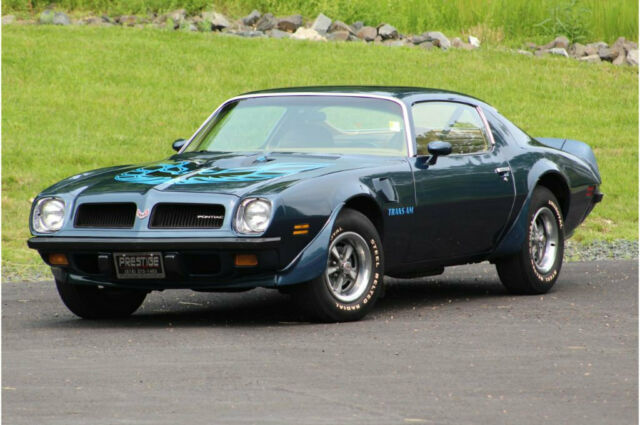 1974 Pontiac Trans Am 455 - photo 11