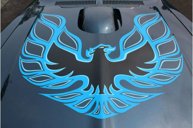 1974 Pontiac Trans Am 455 - photo 2