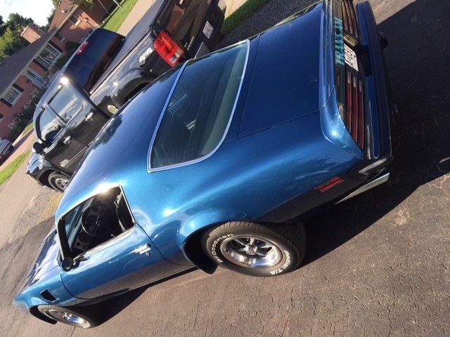 1974 Pontiac Trans Am Super Duty - photo 3