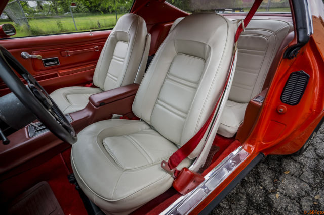 1974 Pontiac Trans Am - photo 13