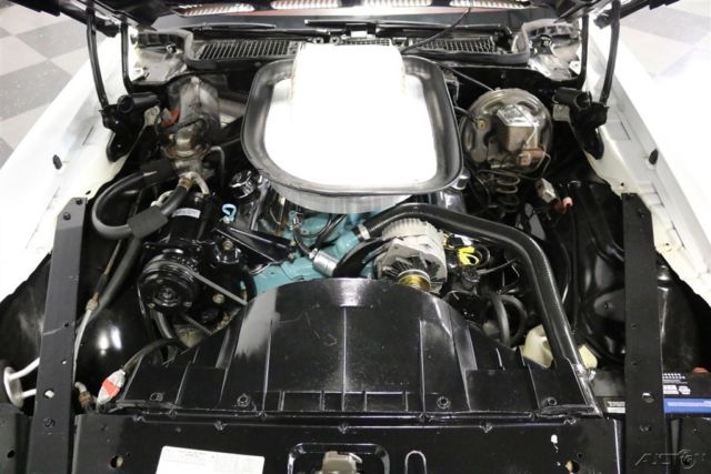 1974 Pontiac Firebird Trans Am - photo 3