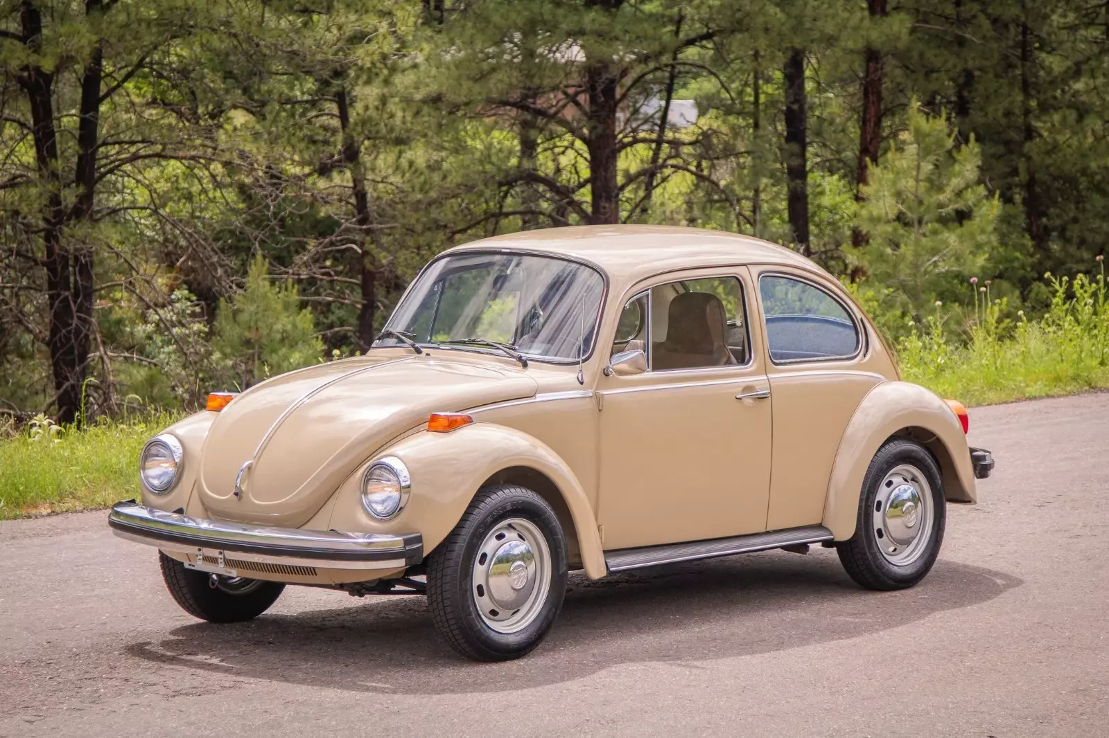 1974 Volkswagen Beetle - Classic - photo 3