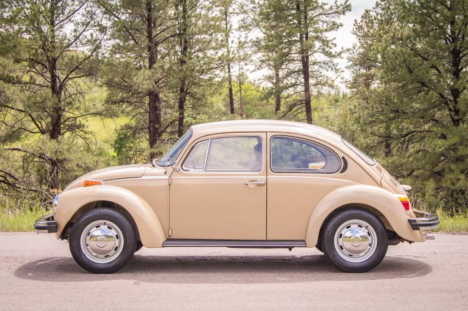 1974 Volkswagen Beetle - Classic - photo 5
