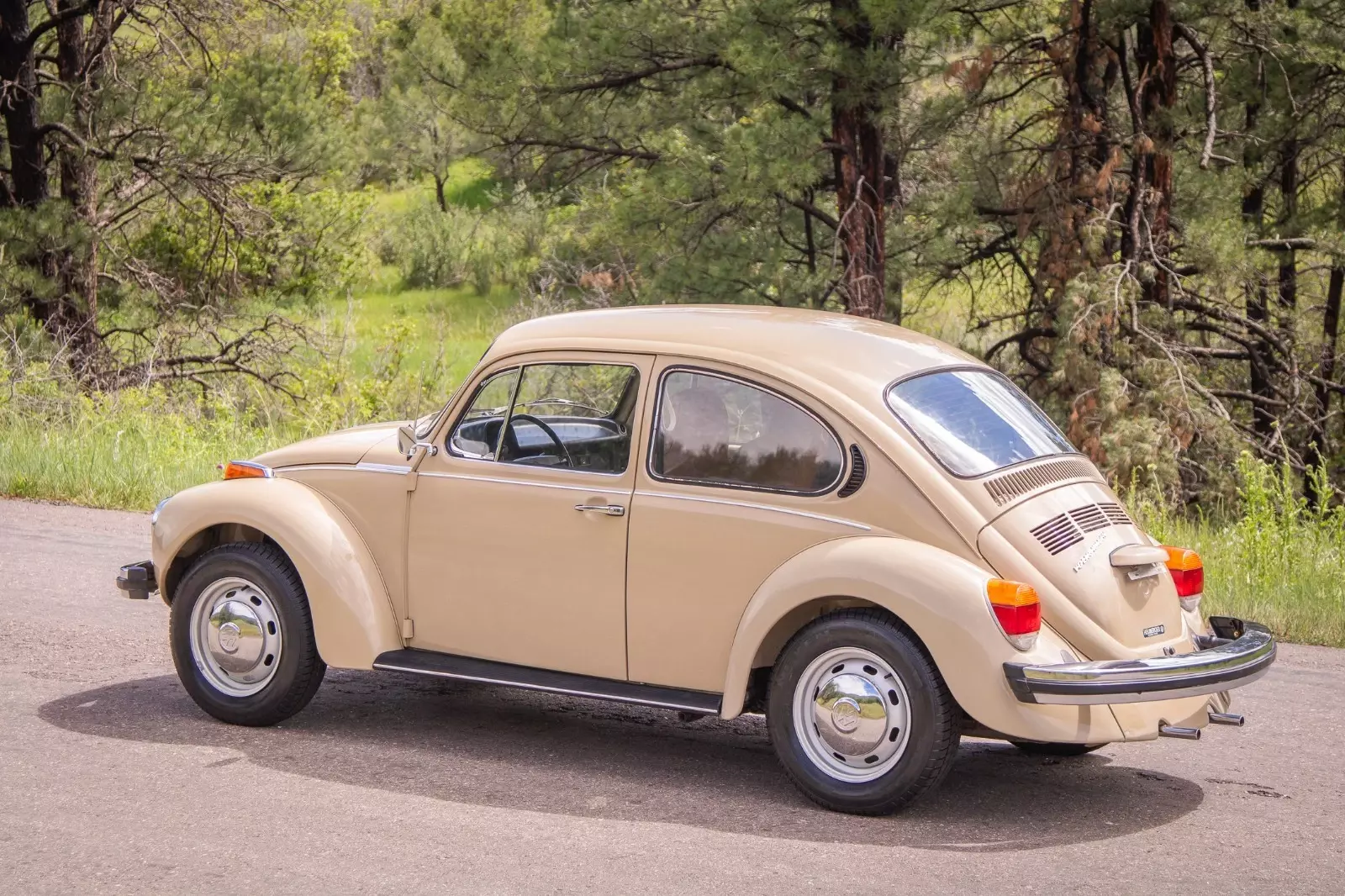 1974 Volkswagen Beetle - Classic - photo 6