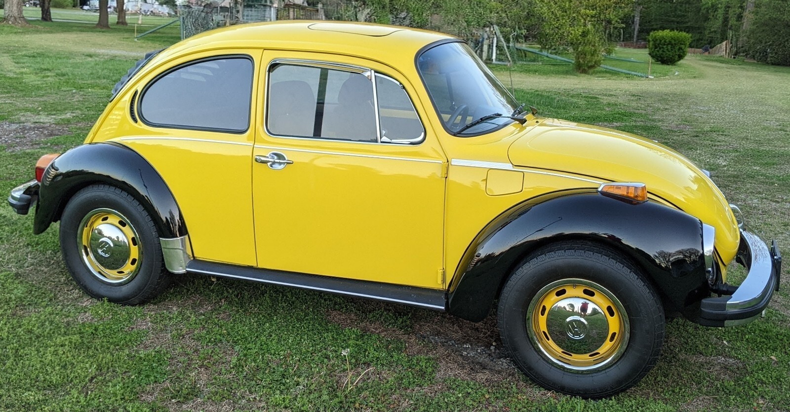 1974 Volkswagen Super Beetle - photo 3