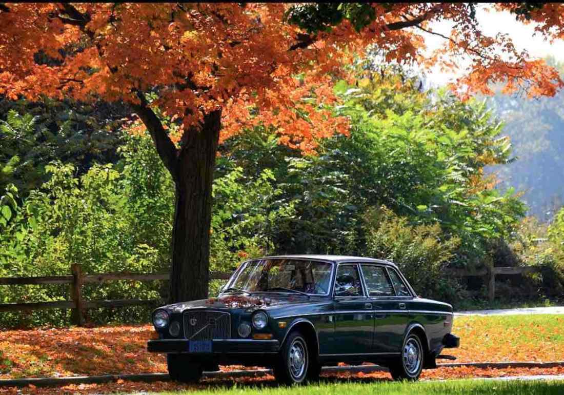 1974 Volvo 164 - photo 2