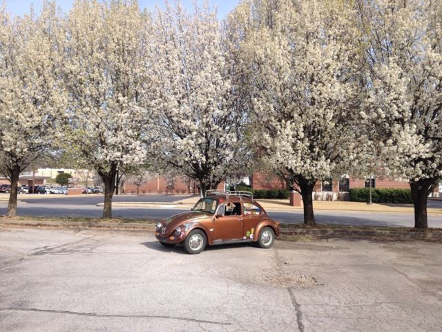 1974 Volkswagen Beetle - Classic - photo 7