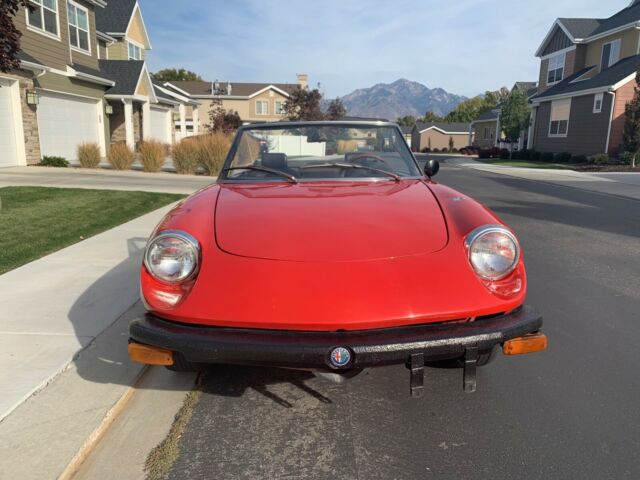 1975 Alfa Romeo Spider - photo 2