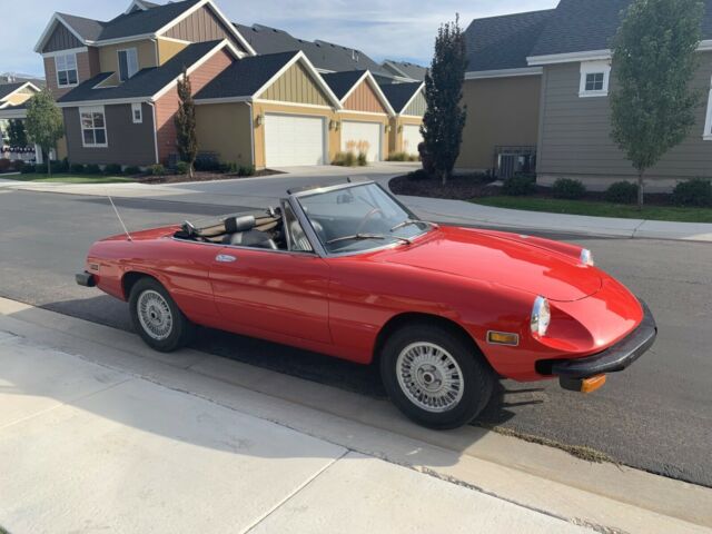 1975 Alfa Romeo Spider - photo 3