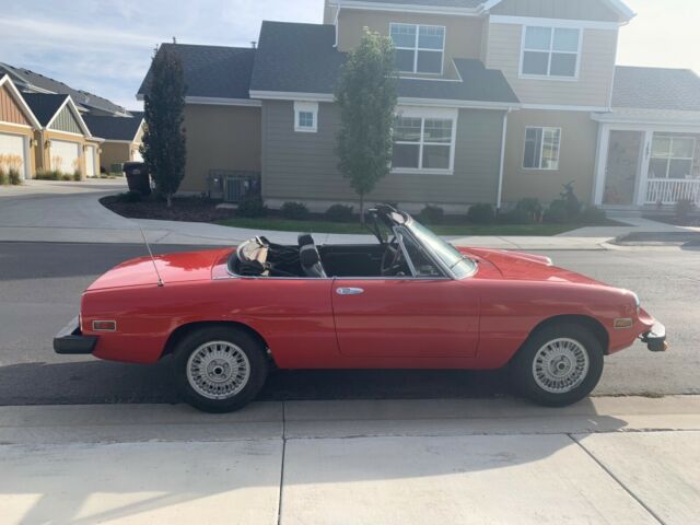 1975 Alfa Romeo Spider - photo 8