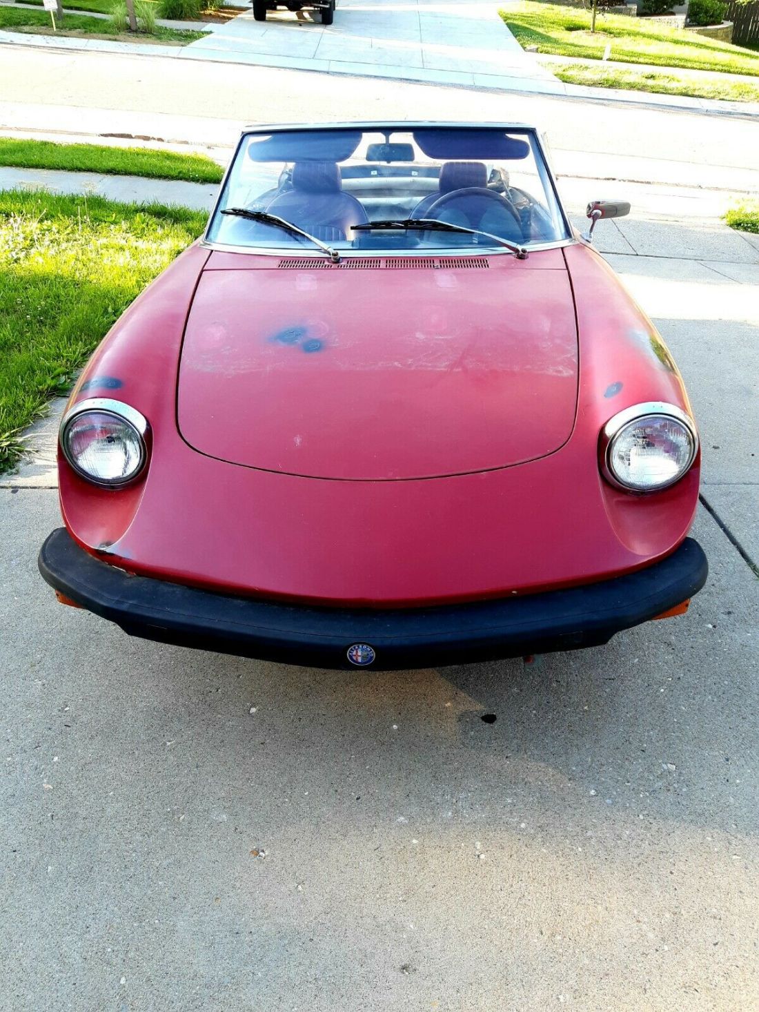 1975 Alfa Romeo Spider Veloce - photo 2