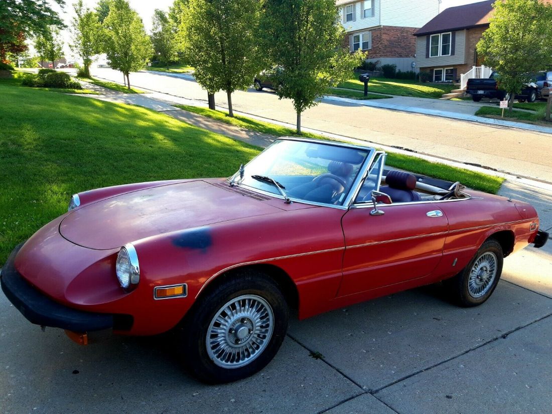 1975 Alfa Romeo Spider Veloce - photo 3